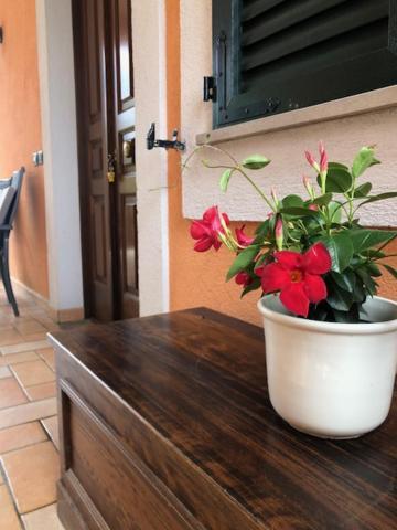 Il Giardino Delle Rose Apartment Спело Екстериор снимка