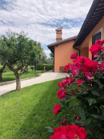 Il Giardino Delle Rose Apartment Спело Екстериор снимка