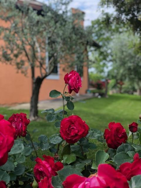 Il Giardino Delle Rose Apartment Спело Екстериор снимка